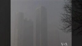 Environmental Activism Takes Hold in China