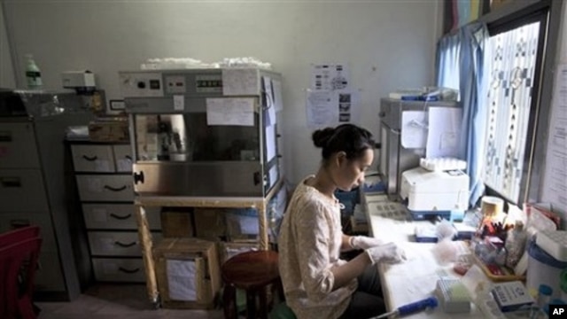 Malaria researcher Sornsuda Setaphan prepares blood samples at hospital in Pailin, Cambodia (file photo)