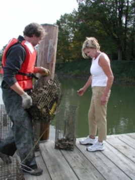 Chris Judy with Sally Ackridge on her backyard pier where she cares for 38 cages of baby oysters.