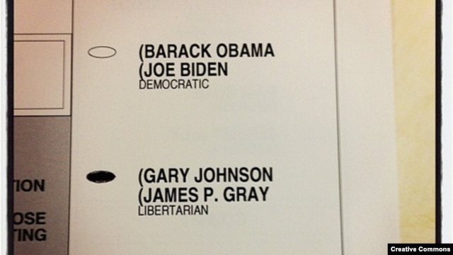 Many Americans took pictures of their ballots before casting them. This was posted on <a href="http://www.flickr.com/photos/dbjb-net/8162198915/sizes/m/in/photostream/">Flickr</a>.