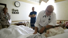 A doctor checks on a patient in the hospice wing of an Oakland Park, Florida, hospital in 2009
