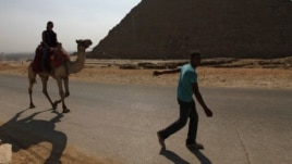A man pulls a camel carrying a lone tourist at the Pyramids of Giza near Cairo October 19, 2011.
