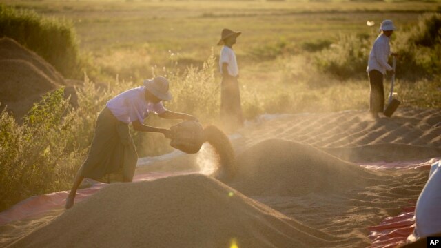 Mặc dù Myanmar đã thực hiện nhiều biện pháp cải cách kinh tế nhưng những sự thay đổi trong khu vực nông nghiệp đã diễn ra một cách khá chậm chạp.