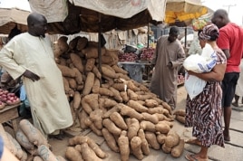 A woman shops for yams that have risen in price due to changes in Nigeria's fuel subsidy at Mile 12 market in Lagos, January 14, 2012.