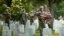 Soldiers salute as "Taps" is played during a military funeral nearby as they were placing flags on graves at Arlington National Cemetery in Virginia, May 23, 2013.  