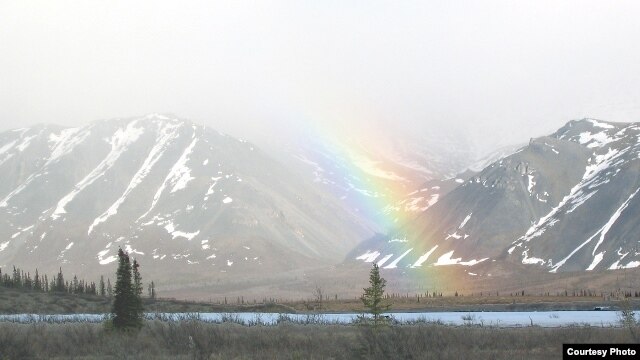 Oil development could threaten Timber Lake in the Arctic National Wildlife Refuge, one of the world’s remaining wild places. (Bernie Krause)