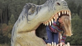 Ten-year old Adele Anhalt inspects the mouth of a model of a dinosaur in the exhibition 'World of Dinosaurs' in Hohenfelden near Erfurt, central Germany, September 25, 2012.
