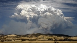 Smoke from wildfires is seen east of Hobart in the Australian island state of Tasmania January 4, 2013.