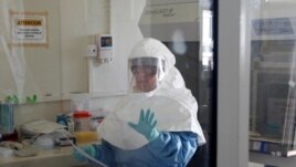 A laboratory specialist examines specimens of the Ebola virus at the Uganda virus research centre in Entebbe, 40km (25 miles) south from capital Kampala May 17, 2011. The rare and deadly Ebola virus has killed a 12-year-old Ugandan girl, and health offici