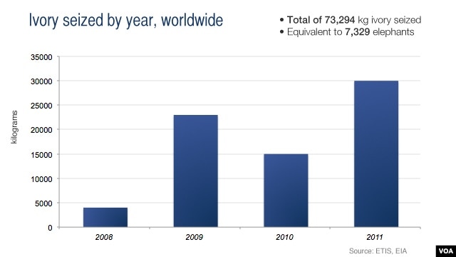 Ivory seized by year, worldwide, from 2008 to 2012.