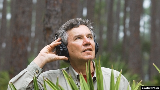 Bernie Krausehas recorded more than 15,000 species and 4,000 hours of wild soundcapes. (Tim Chapman)