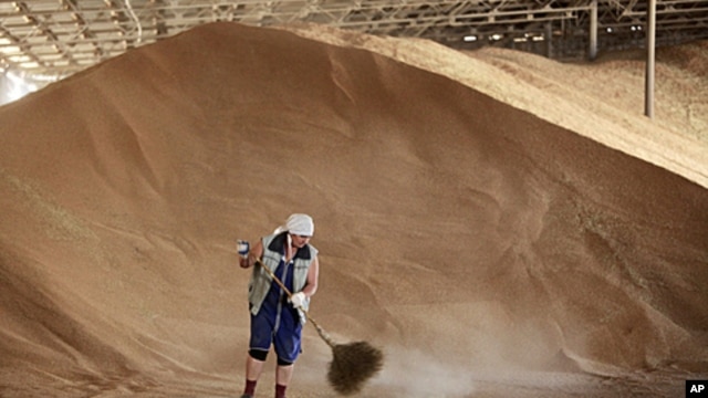 An employee sweeps up grains in a warehouse in the the village of Konstantinovo, some 60 km (37 miles) from the Southern Russian city of Stavropol, June 7, 2011