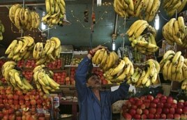 A fruit seller arranges bananas at his stall along a road in Jammu, India November 2011. (AP FILE PHOTO)
