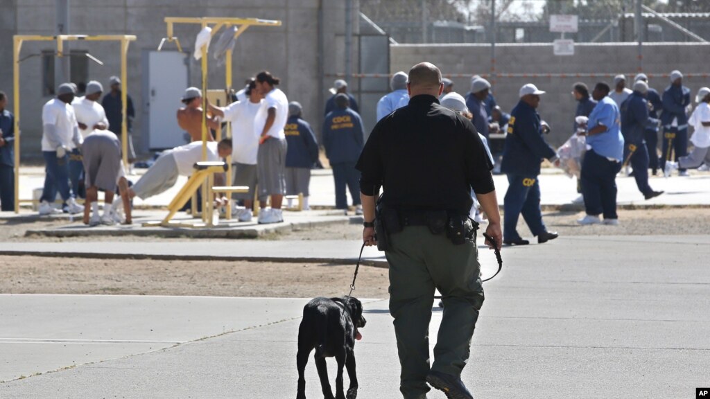 Thousands of US Prisoners Approved for Early Release