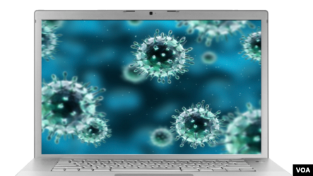 computer viruses