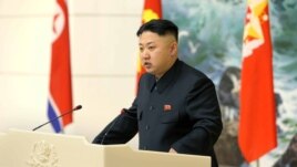 North Korean leader Kim Jong Un speaks during a banquet in Pyongyang in this image released by North Korea's KCNA news agency December 22, 2012.