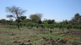Nile Debate Emphasizes Conservation, Water Sharing