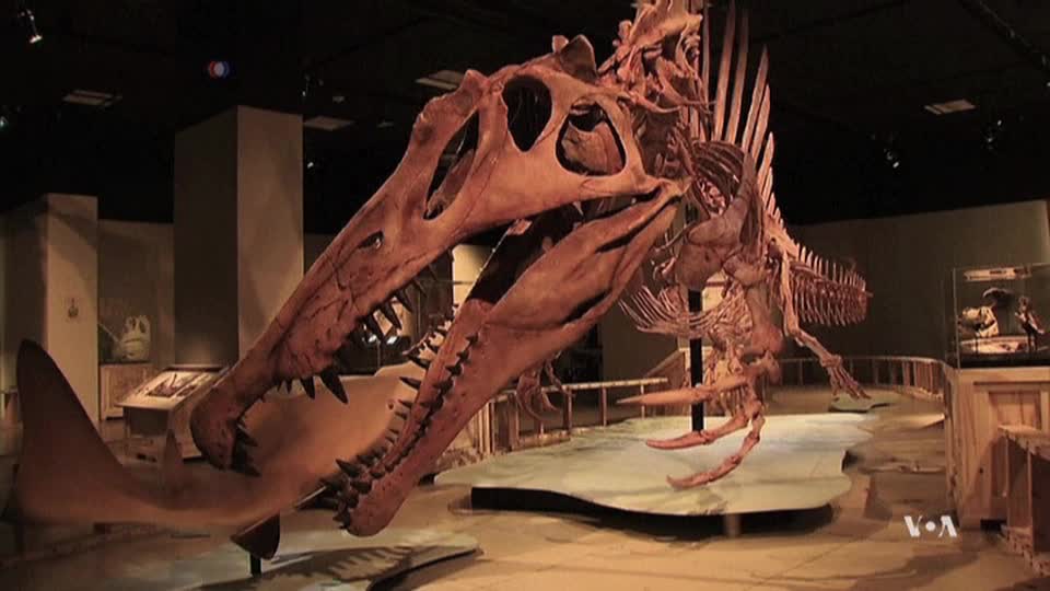 Scientists 'Unveil' First Semi-aquatic Dinosaur