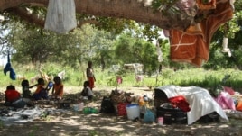 Children are seen at a camp outside Chokwe, Mozambique, January 24, 2013. (VOA/J.Jackson)