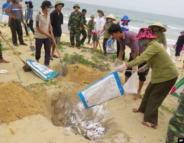 Hình tư liệu _Người dân chôn cá chết trên một bãi biển ở Quang Binh, Việt Nam, ngày 28 tháng 4 năm 2016.