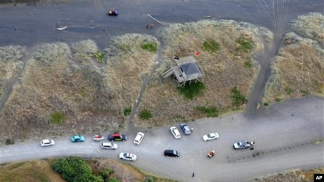 Ambulans dan kendaraan darurat diparkir di pantai Muriwai defat Auckland, Selandia Baru, Rabu (27/2). Seorang pria ditemukan tewas di lepas pantai ini akibat serangan ikan hiu. (AP Photo/New Zealand Herald, Chris Gorman)