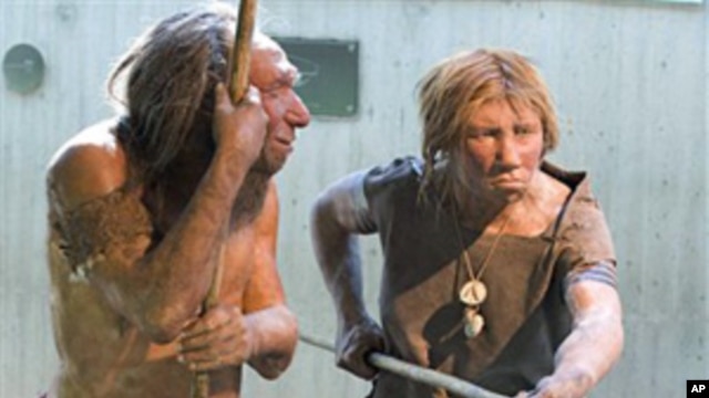 A museum recreation of Neanderthals (undated photo)