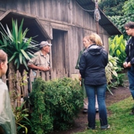 Volunteers work with coffee farmers through a University of Georgia program in Costa Rica