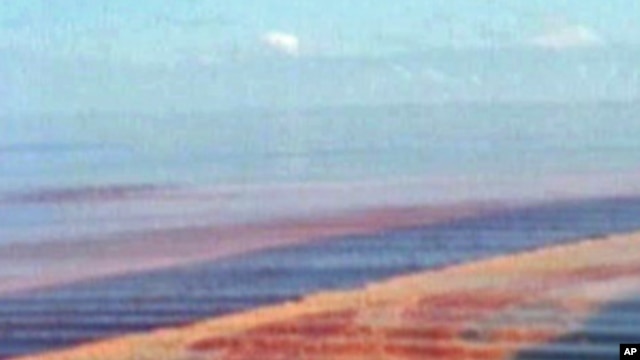 Oil slick in the Gulf of Mexico