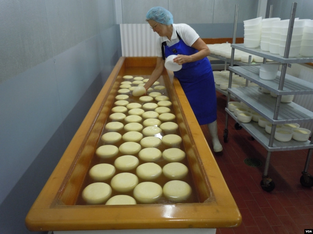 Prayerful Nuns Produce Heavenly Cheese