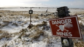 A mine field from the 1982 Falklands War between Britain and Argentina is seen near Stanley, Falkland Islands, June 10, 2012.