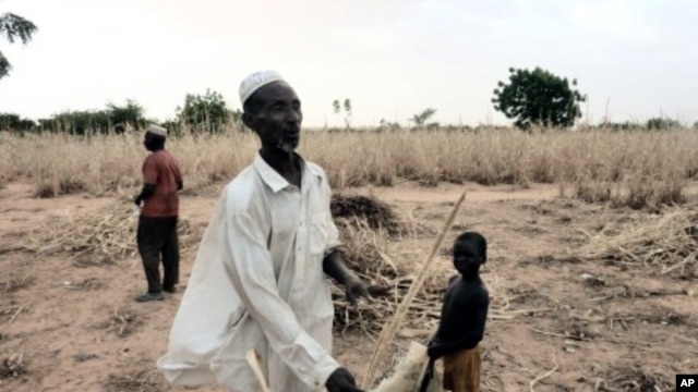 A man from Niger in his ravaged field due to lack of rain this year. Western Niger is under the risk of a new food crisis. (File Photo - October 8, 2011)
