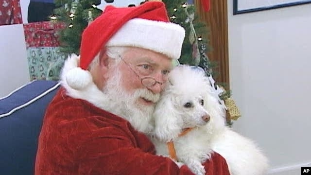 Santa Claus poses for pictures with pets to help raise money for the Washington Humane Society