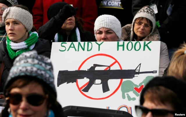 People hold signs memorializing Sandy Hook Elementary School, where 26 children and adults were killed in a mass shooting in December, as they participate in the March on Washington for Gun Control on the National Mall in Washington, January 26, 2013.