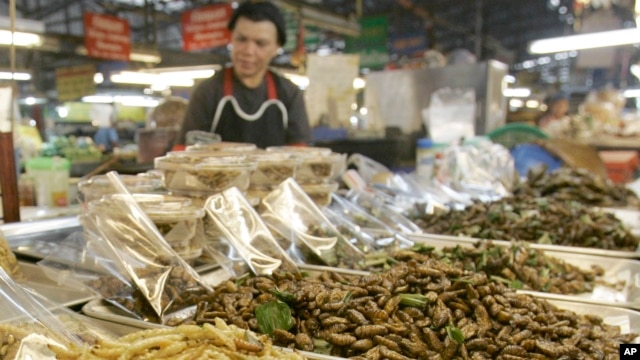 Một phụ nữ Thái Lan bán các loại côn trùng đã được chế biến tại khu chợ trong tỉnh Chiang Mai, Thái Lan
