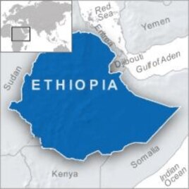 Swedish Journalists Plead Not Guilty to Ethiopian Terrorism Charge