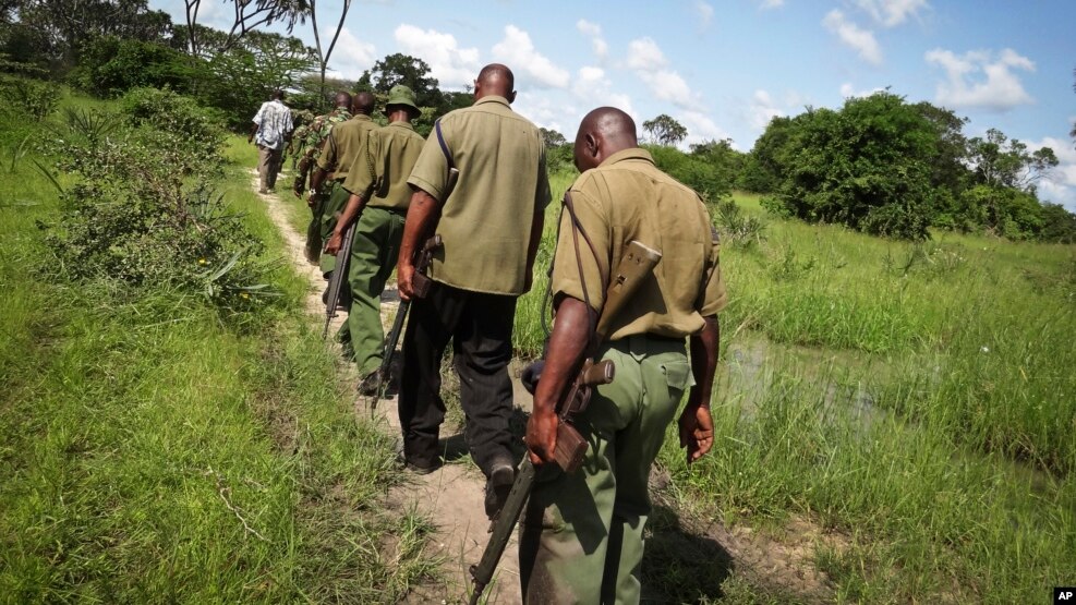 FILE - Armed members of the Kenyan security forces march through dense swamp and forest in the remote village of Kaisari, near Mpeketoni, on the coast of Kenya, June 17, 2014.