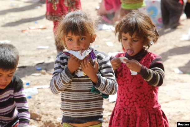 이라크의 이슬람 수니파 무장세력 ISIL 점령지인 하위자에서 탈출한 수니파 어린이들이 남서부 마을 키르쿠크에 도착했다.