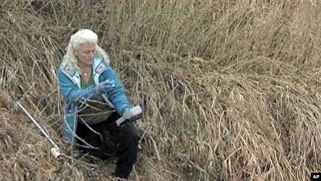 Lynn Henning samples water for pollution from the large livestock farms near her home in rural Michigan.