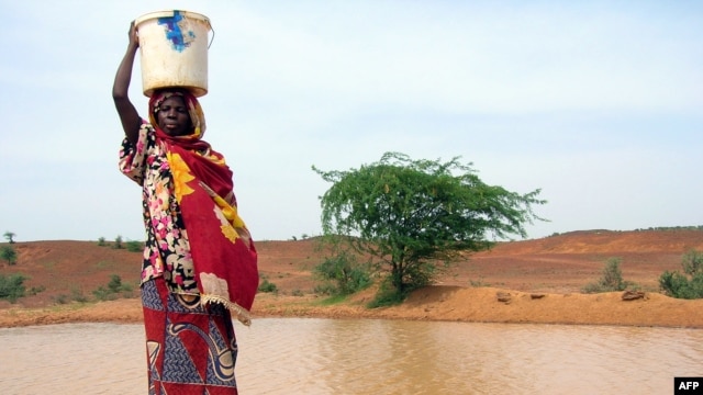 Une femme se ravitaillant dans une mare infectée par le choléra en Afrique de l'Ouest 