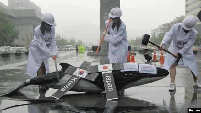 Environmental activists demonstrate with a mock whale, during a protest against the plans of the South Korean government to resume hunting whales for research purpose, in central Seoul, July 6, 2012. 