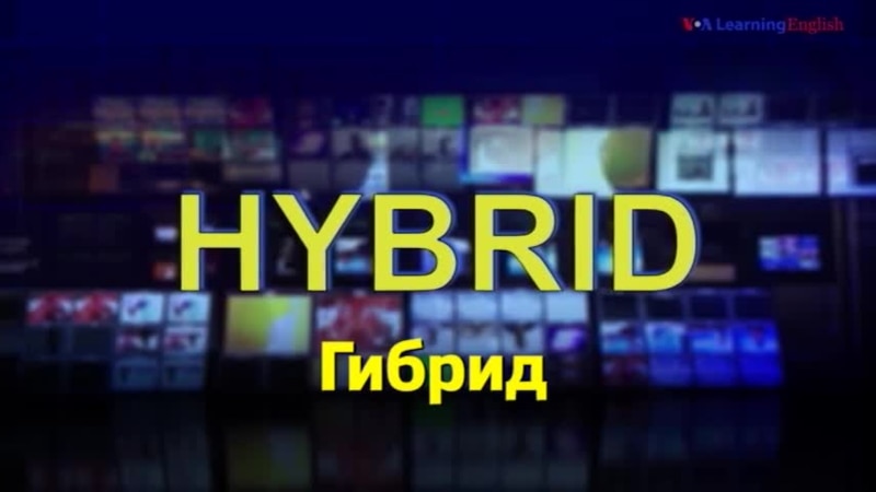      hybrid  
