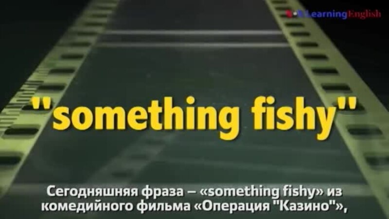    something fishy -  