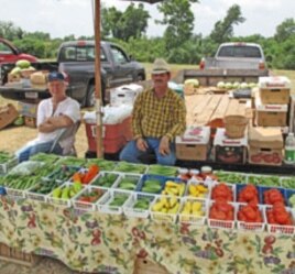 After the boll weevil destroyed the cotton crop, farmers diversified, deciding never to rely on just one crop.