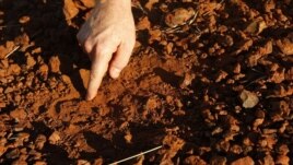 A geologist inspects the ground at a prospective Atlas Iron Limited iron ore mine site near Port Hedland, Australia (May 26, 2008 file photo).
