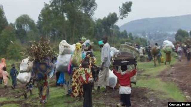Des citoyens de Goma en fuite