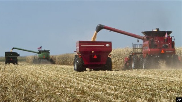 Combines, costing several hundred thousand dollars each, harvest corn at the Husker Harvest Days fair, Grand Island, Neb., Sept. 15, 2010.