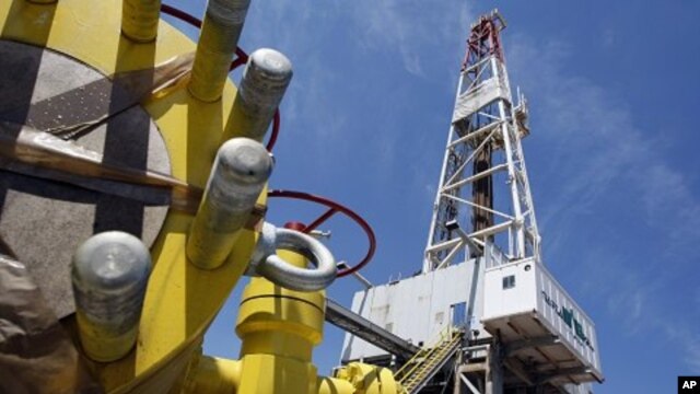 A well is seen at test drilling site Markowola-1 near Kozienice, central Poland, where Poland's gas monopoly PGNiG hopes to find large amounts of shale gas, July 9, 2010