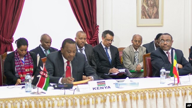 In this photo released by the Kenyan Presidential Press Service, Kenyan President Uhuru Kenyatta, left, speaks during the meeting on the situation in South Sudan, held at State House, Nairobi, Kenya, Friday, Dec. 27, 2013. On the right is Ethiopian Prime Minister Hailemariam Dessalegn (AP Photo/Kenyan Presidential Press Service)