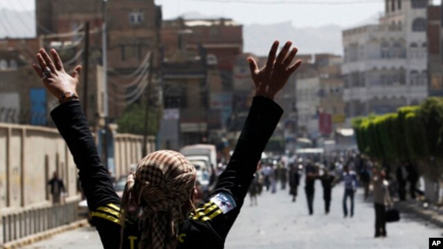 An anti-government protester appeals to government backers to stop throwing rocks during clashes in Sana'a, February 19, 2011