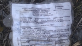 Un certificado temporal de un miembro de la tripulación fue encontrado en el lugar del accidente.